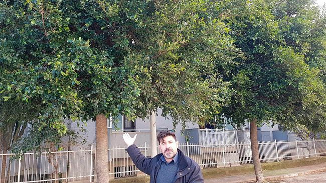 VIDEO – Mazara, alberi non potati da circa 3 anni. Grossi disagi per residenti in via Ciullo D’Alcamo. Il Comune non ha risposto