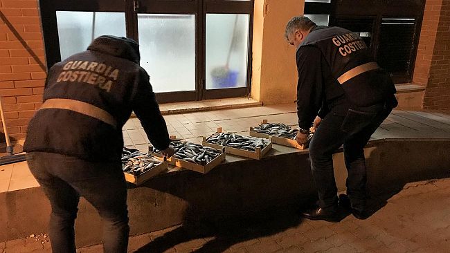 Trapani: Blitz della Guardia Costiera al Porto Peschereccio