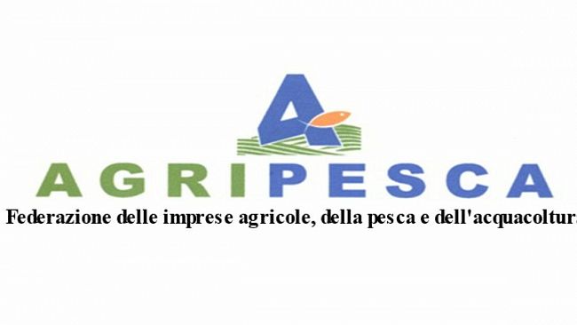 AgriPesca, Toni Scilla: “Felice per il rilascio dell’Afrodite Pesca e del Matteo Mazzarino. Questi episodi non devono mai più verificarsi.