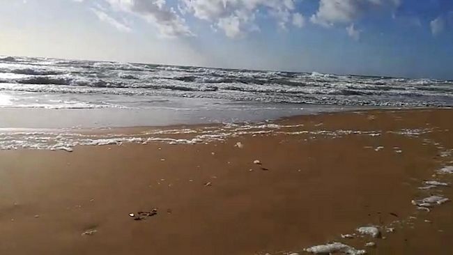 video-francesca-mandina-ci-racconta-triscina-ed-il-suo-mare-dinverno