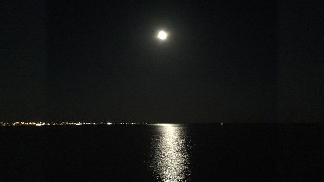  Ultime della sera: “Sotto lo sguardo della luna”