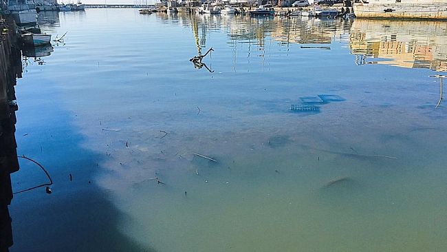 Diventerà Bellissima: “finisce l’era della speculazione politica sul porto canale”