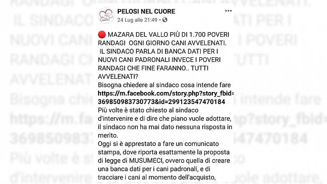 Mazara, attacchi contro la Città sulla pagina facebook “Pelosi nel Cuore”. Il Comune valuta la querela…