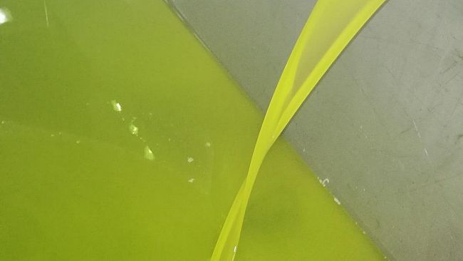 Non è tutto olio, quello che luccica