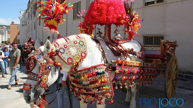 Vita, tutto pronto per la Festa della Madonna di Tagliavia. Il 2 giugno si rinnova il rito religioso-popolare