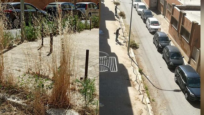 FOTO – Spazio al cittadino: dopo la segnalazione, ripulita via Ugo Bassi