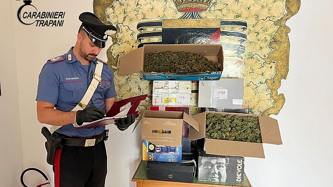 Petrosino, scoperta piantagione di cannabis in una serra. Arrestato 50enne marsalese