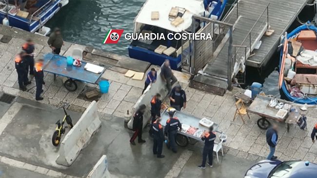 ​Trapani. Sequestrati 2 quintali di pescato sulle banchine del porto peschereccio