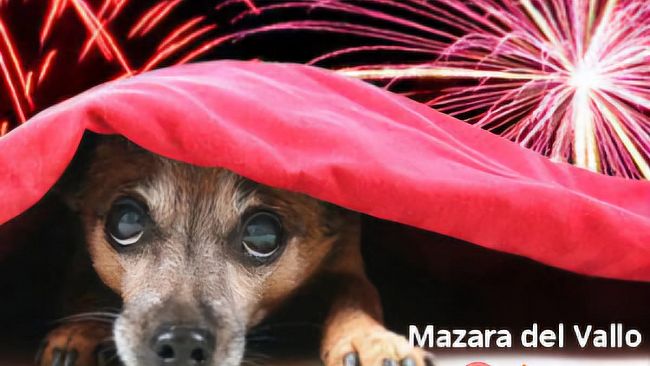 Mazara, stop ai botti di capodanno: un appello per il benessere di tutti