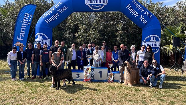 Petrosino, grande successo per l'esposizione canina svoltasi presso il Camping Biscione