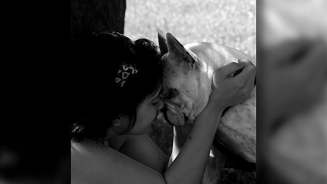 Ultime della sera: “Impossibile non amarli !” 