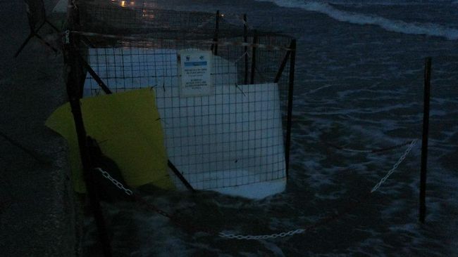 Mazara, Tonnarella, distrutto dal mare il nido delle tartarughe: responsabilità diffuse…