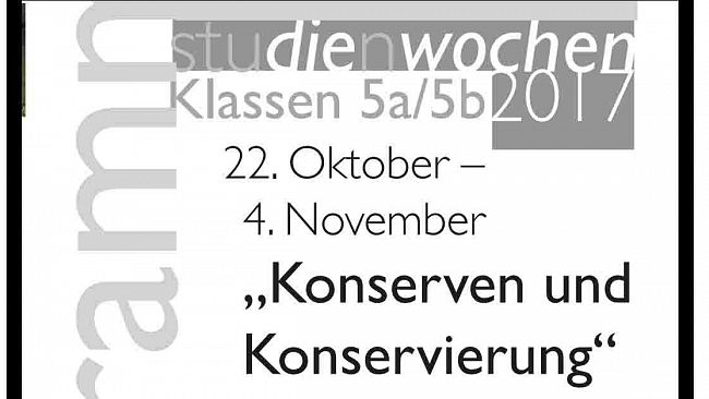 Favignana – Zurigo, quarantasei studenti sull’isola per un “Laboratorio di Scultura con la pietra di Favignana”