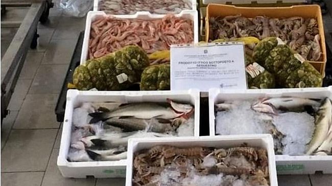 Trapani, sequestrati 85 kg di pesce  a venditori abusivi