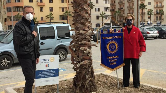 Trapani, piantumate a piazza Vittorio le palme donate dal Rotary Club