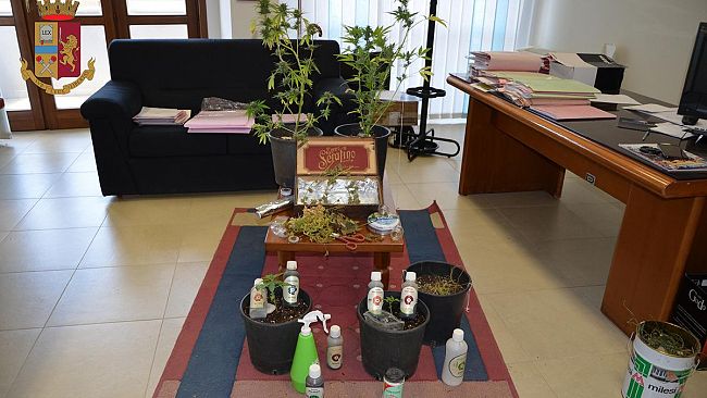 Mazara, Operazione antidroga con sequestro di 50 grammi di marijuana e l’arresto di un cittadino mazarese