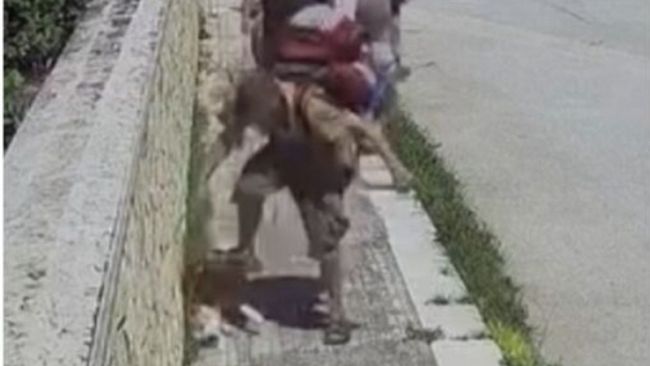 Valderice. Prende a calci il cane: denunciato dalla Polizia 