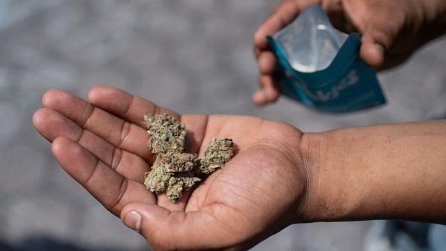 Pacco di droga inviato da Carini a Mazara. La scoperta della GdF
