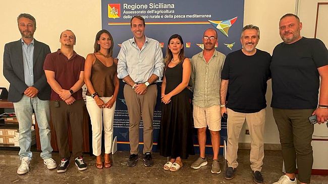 mango-di-balestrate-verso-un-consorzio-tra-i-produttori