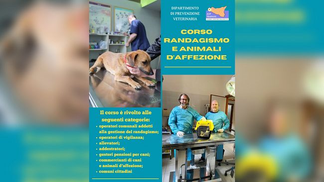 ASP Trapani, corso di formazione su “Randagismo e animali d’affezione”. Ecco come partecipare