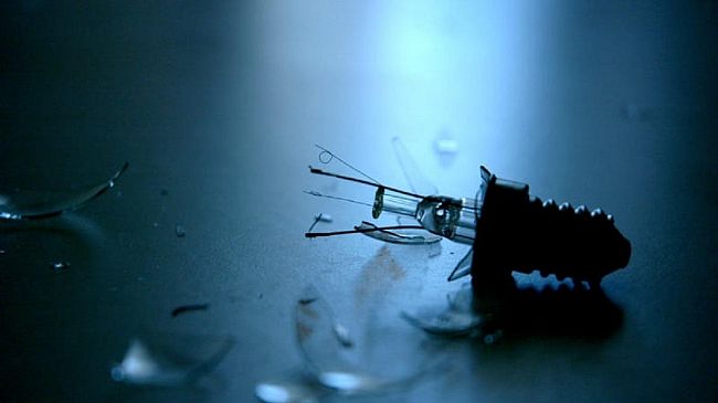 L'Elzeviro di Bonagiuso : Elogio della Fragilità 