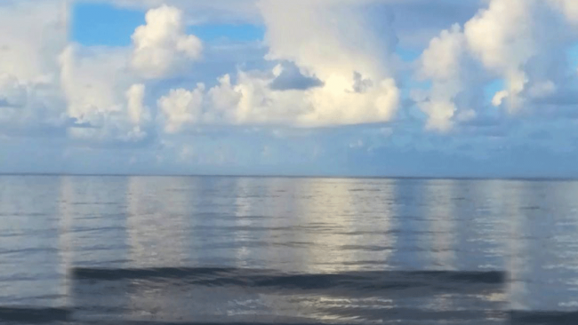 Ultime della sera: “War is stupid”