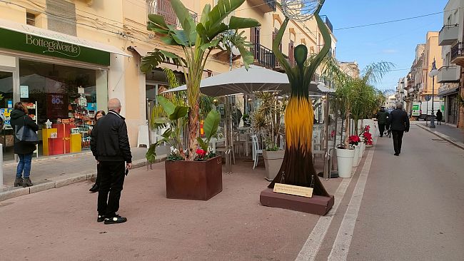 Mazara, la DC chiede rimozione divieto di sosta nel centro storico nell'orario apertura scuole fino alle ore 10 