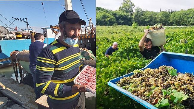 1° maggio, la “Festa del Lavoro” fra illusioni, delusioni… E ancora la guerra 