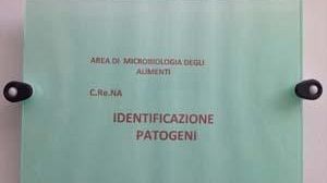 Pd mazarese: rinnovamento o individuazione agenti patogeni? Forse…