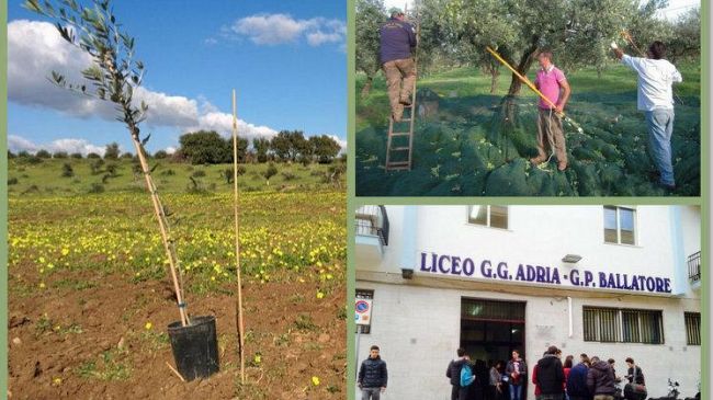 Al via la Settimana della legalità: al liceo di Mazara si va a scuola di antimafia. Lezioni, dibattiti e visite guidate per imparare a combattere Cosa nostra