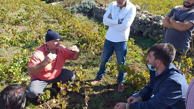 A Bukkuram le prove Novamont delle pratiche agricole ecosostenibili