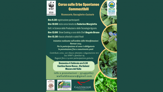 wwf-mazara-domani-corso-sulle-erbee-spontanee-commestibili