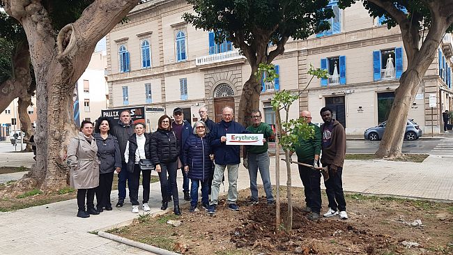 Giornata internazionale degli alberi. A Trapani Erythros mette a dimora tre nuove eritrine
