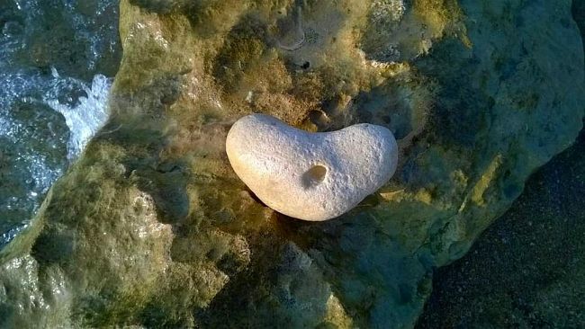 Ultime della sera: “Se il mare avesse un cuore di carne…”