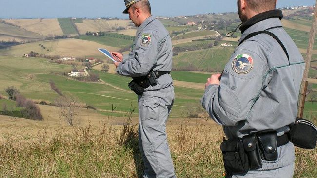 Forestali. Cracolici: ecco i punti della riforma