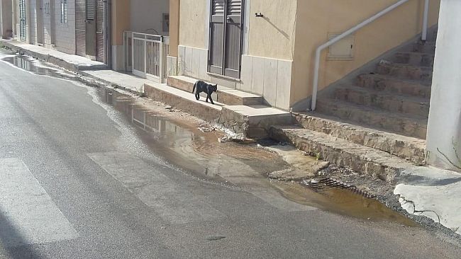 Marinella di Selinunte, in via Marco Polo operai al lavoro per riparare il guasto