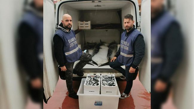 Controlli serrati sulla filiera ittica da parte della Guardia Costiera di Trapani