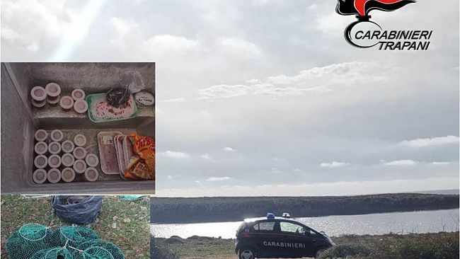 Trapani: sorpresi a raccogliere ricci in area marina protetta. Denunciati dai Carabinieri