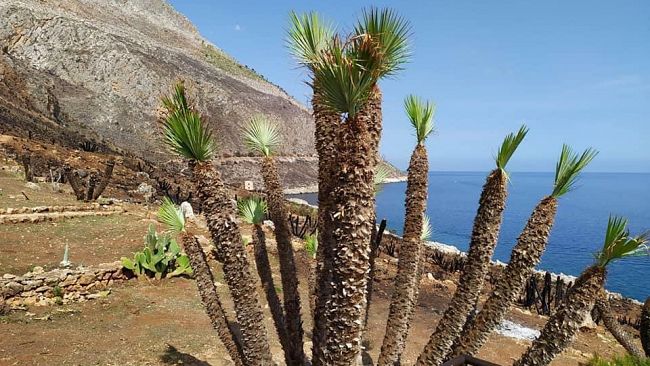 Zingaro, dopo il fuoco la natura risorge