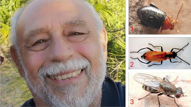 Il biologo mazarese Angelo Ditta di nuovo nel Sicilian Naturalistic News grazie alla scoperta di tre nuovi insetti