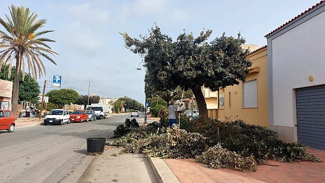 Petrosino, al via gli interventi di manutenzione del verde e pulizia delle scuole