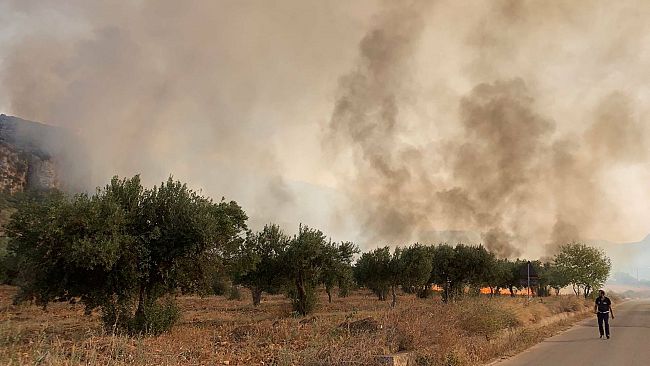 Custonaci, incendio in Contrada Rumena