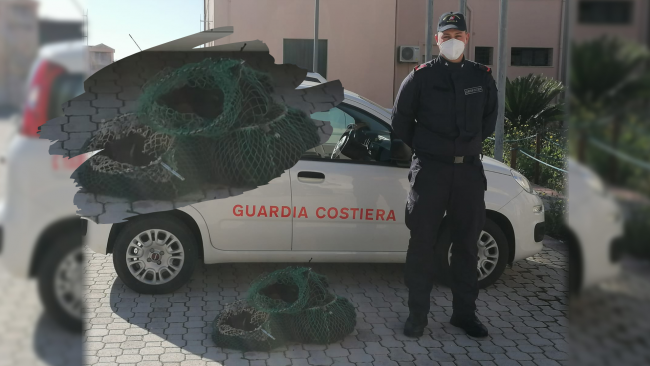 Sequestrati circa 300 esemplari Ricci di mare