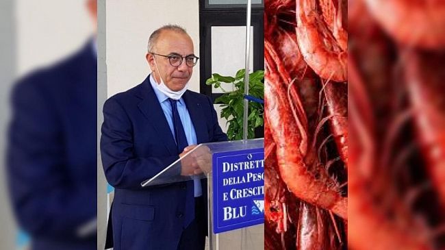 Preoccupazione per il blocco della pesca del gambero rosso  nel Mar Tirreno