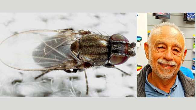 Il mazarese prof. Ditta, sul