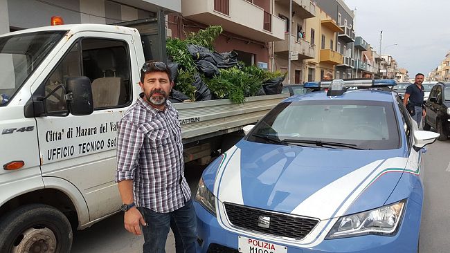 la-polizia-di-mazara-sequestra-ingente-quantitativo-di-canapa-indiana