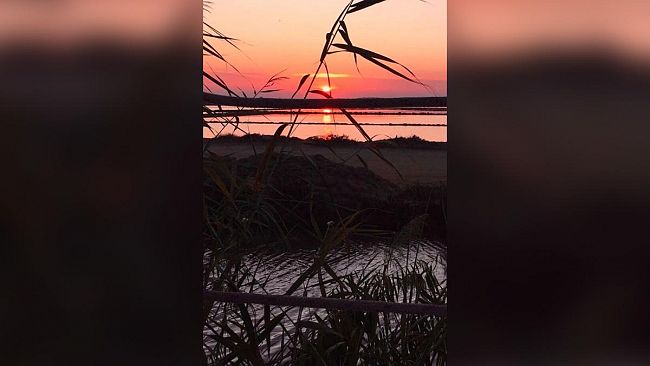 Ultime della sera. Cara Grazia