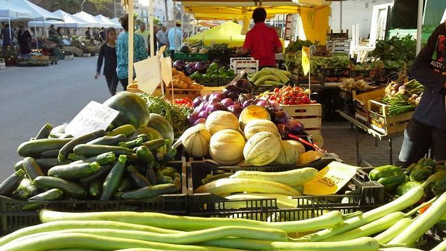 Il mercato del Contadino operativo domenica pomeriggio