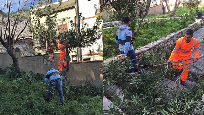Cittadini con disagio economico al lavoro per la pulizia di aree verdi