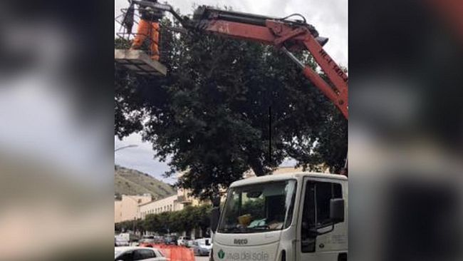 Alcamo, Cura e manutenzione del verde pubblico